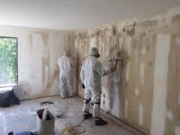 Trusted Hudson, CO Mold Removal Services Experts